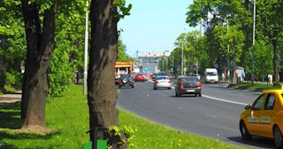 Посадка деревьев и кустарников в Отрадном — стоимость от 1304 руб.